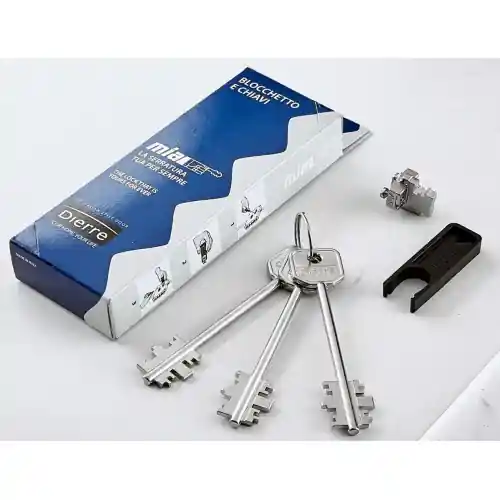 Dierre Atra BL03210 kit cambio per serrature con 3 chiavi 116 mm estrattore blocchetto e impugnatura nera Veilige Betaling
