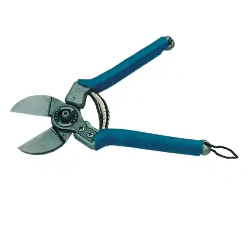 Nieuw Due buoi forbici frutteto Art.135 lame in acciaio temperato 20 cm per pota potatura giardino