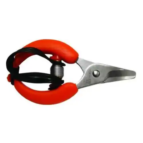Superprijs Ecef forbici cogliagrumi 10 cm per frutteto con lama curva in acciaio inox manici ergonomici rivestiti in PVC