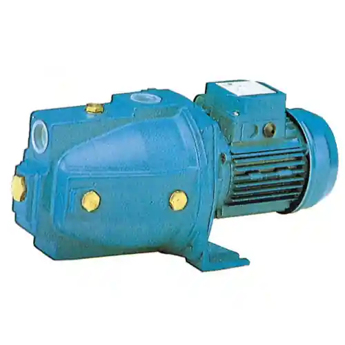 Laatste Versie elettropompa autodescante mod T/N 1,0Hp 220V pompa autoclave