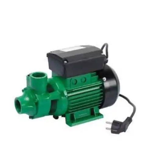Alleen Vandaag elettropompa periferica QB70 corpo pompa in ghisa attacco 1"x1" hp 0,70 kw 0,50