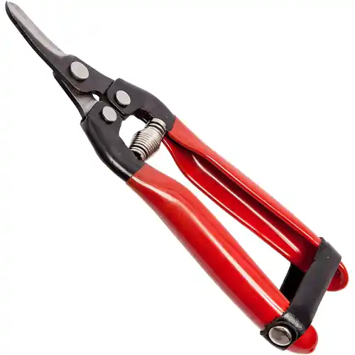 Falci forbici cogliagrumi 16 cm per agrumi con lama curva manici in pvc e chiusura in cuoio Exclusieve Aanbieding