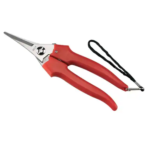 Gratis Retour Forbici cogliuva da vigna lame strette 19 cm in acciaio inox forbici per vigneto uva con fermo di chiusura