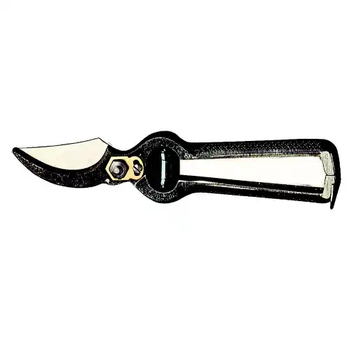 Koop Online forbici da pota Due Buoi forbice 127S cm 21 per potatura vigna e frutteto