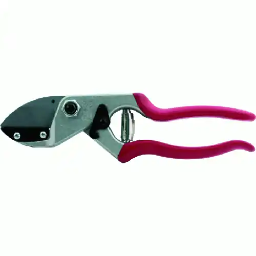 Gecertificeerd forbici da pota felco 31 classic 21 cm cesoia forbice frutteto vigna