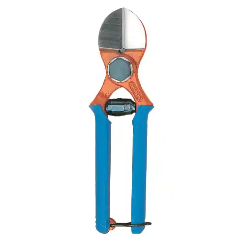 Forbici frutteto Due Buoi 133 doppio taglio da pota forbice 20 cm per potatura forgiate in acciaio temperato Express Levering