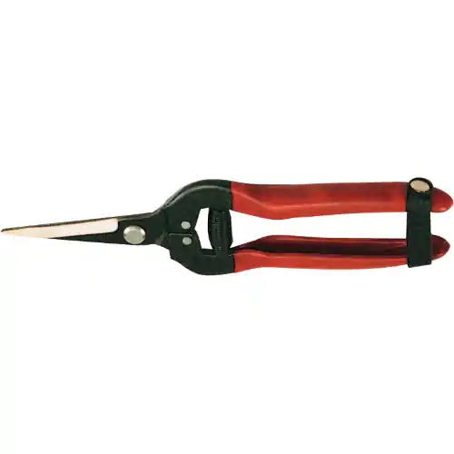 forbici per vendemmia uva forbice cogliuva con lame curve acciaio inox Rechtstreeks Van De Fabrikant