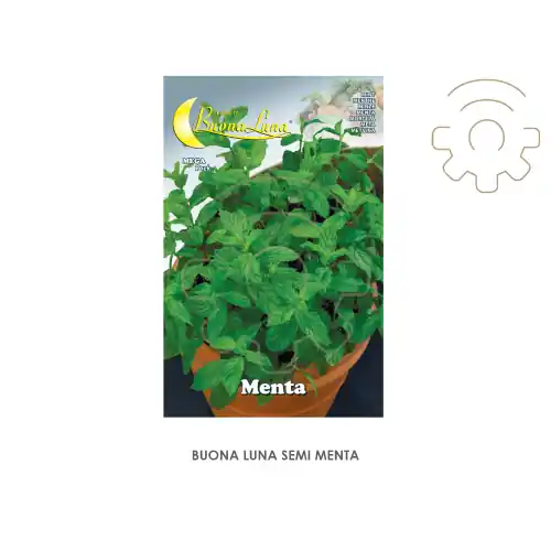 Hortus Buona Luna 0,15 gr semi di menta seminare orto giardino prato Flitsaanbieding