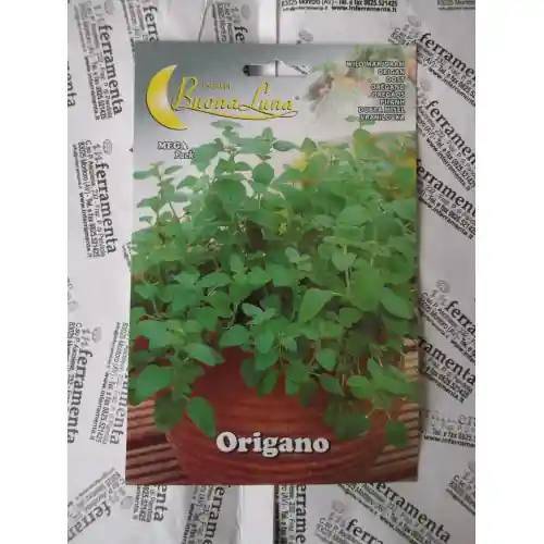 Voordeelprijs Hortus Buona Luna 0,15 gr semi di origano seminare orto giardino prato