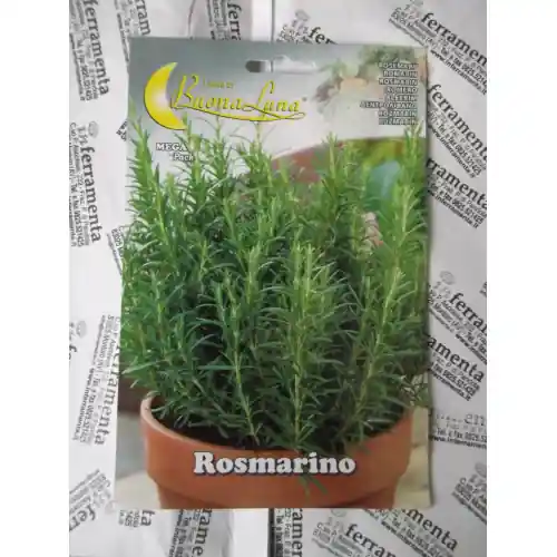 Op = Op Hortus Buona Luna 0,15 gr semi di rosmarino aroma seminare orto