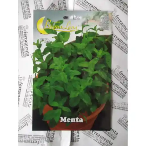 Superprijs Hortus Buona Luna 0,20 gr semi di menta seminare orto giardino prato