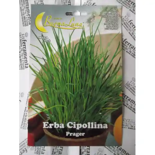 Tijdelijk Beschikbaar Hortus Buona Luna 1 gr semi erba cipollina seminare orto giardino