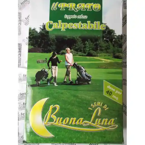 Direct Verzonden Hortus Buona Luna 1 kg semi prato calpestabile tappeto erboso giardino