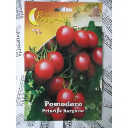 Hortus Buona Luna 1,5 gr semi di pomodoro ciliegino seminare orto Gereduceerde Prijs