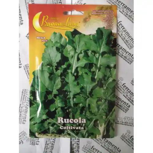 Tijdelijk Beschikbaar Hortus Buona Luna 13 gr semi di rucola coltivata seminare orto agricoltura