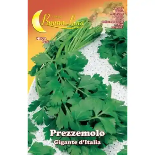 Hortus Buona Luna 15 gr semi di prezzemolo gigante seminare orto Betaalbaar