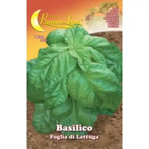 Hortus Buona Luna 3 gr semi di basilico foglia lattuga seminare orto giardino Betaalbaar