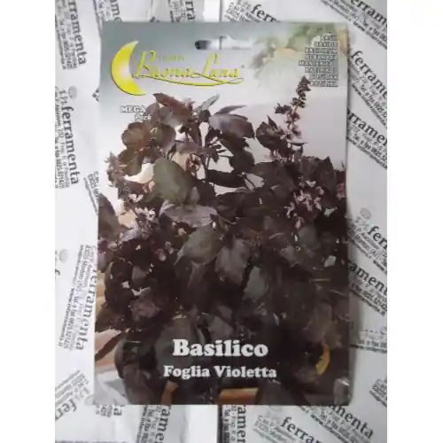 Bestel Nu Hortus Buona Luna 3 gr semi di basilico foglia violetta seminare orto giardino