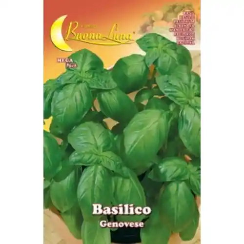 Superprijs Hortus Buona Luna 3 gr semi di basilico genovese seminare orto giardino
