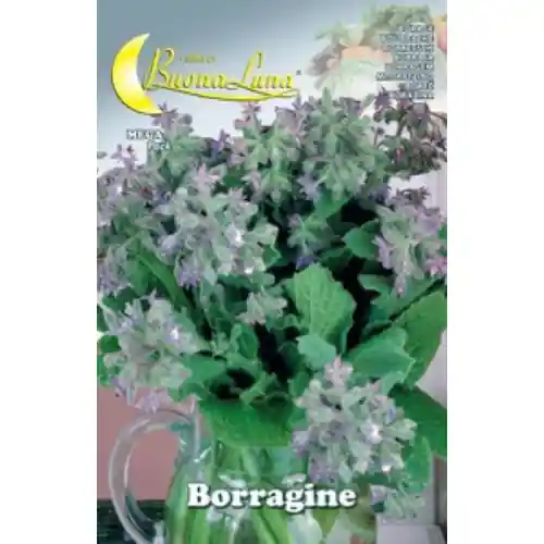 Dagaanbieding Hortus Buona Luna 3 gr semi di borragine seminare orto giardino