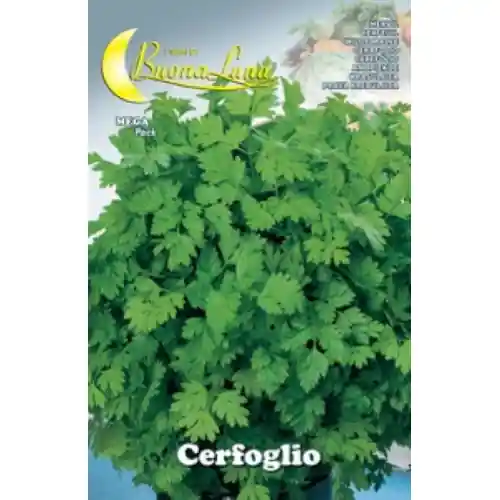 Hortus Buona Luna 3 gr semi di cerfoglio seminare orto giardino Betrouwbaar