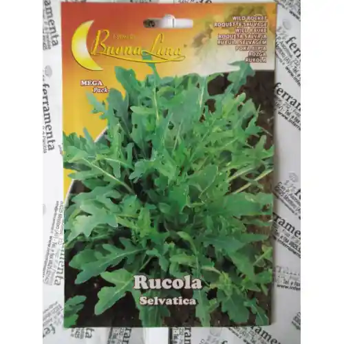 Gereduceerde Prijs Hortus Buona Luna 3 gr semi di rucola selvatica seminare orto agricoltura