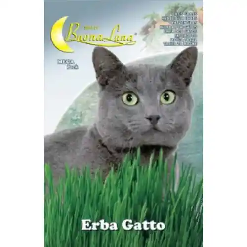 Voordeelprijs Hortus Buona Luna 3 gr semi erba gatta gatto seminare orto giardino prato