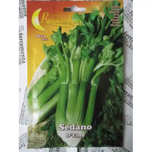 Hortus Buona Luna 5 gr semi di sedano d‘Elne seminare orto agricoltura Koop Vandaag