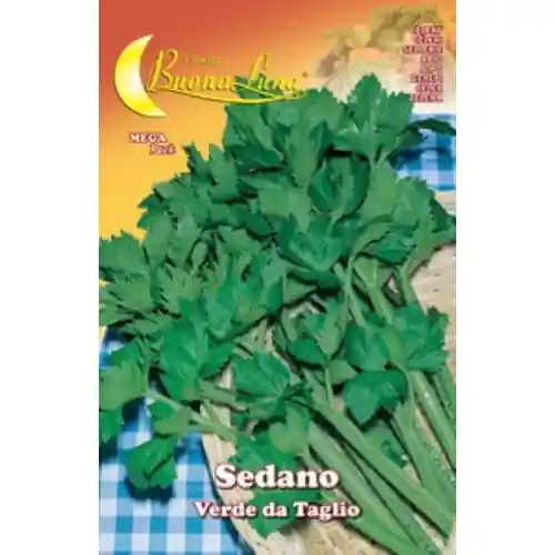 Favoriet Hortus Buona Luna 5 gr semi di sedano verde da taglio seminare orto