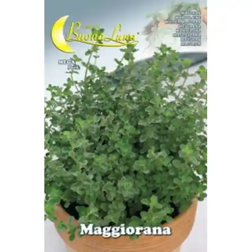 Hortus Buona Luna semi di maggiorana seminare orto giardino prato Bestel Nu