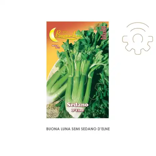 Beste Prijs Hortus Buona Luna semi di sedano d‘Elne seminare orto giardino prato