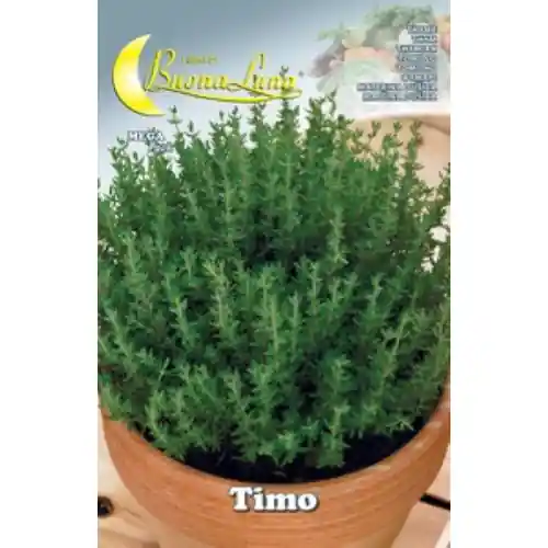 Fabrieksprijs Hortus Buona Luna semi di timo aroma seminare orto prato giardino