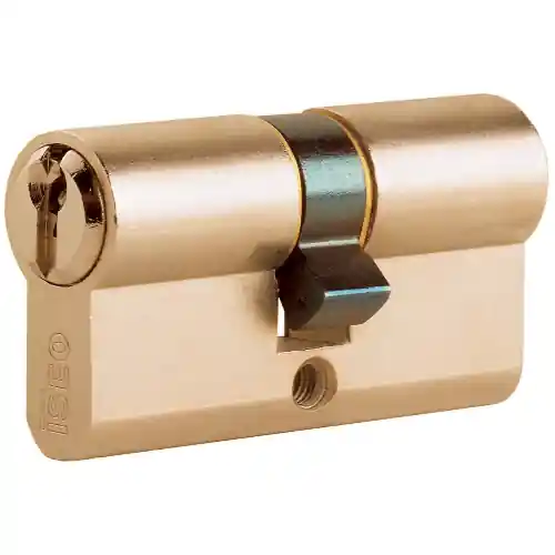 Iseo 8209.30.30 cilindro doppio profilo 60 mm (30+30) ottone 3 chiavi Hoge Kwaliteit