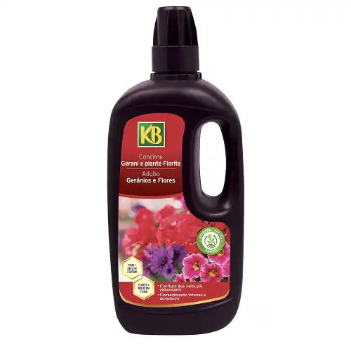 Kb concime liquido per gerani e piante fiorite ad assorbimento rapido Fabrieksprijs