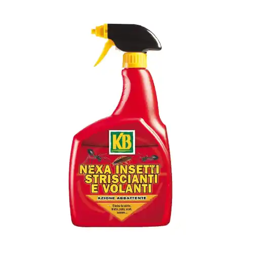 Kb nexa esca insetticida liquido concentrato spray 750 ml. per insetti volanti e striscianti Betaalbaar