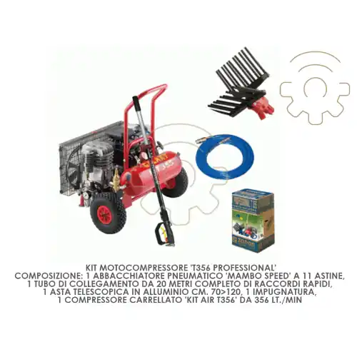 Kit motocompressore ‘t356 professional‘ composto da abbacchiatore tubo asta telescopica impugnatura compressore carrellato Premium