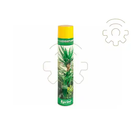 Seizoensaanbieding Lucida piante bombola da 750 ml per pulire e proteggere le foglie dalla polvere