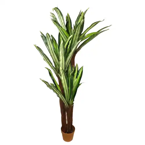 Premium Pianta artificiale Dracenea altezza 150 cm con vaso decorazione casa piante finte