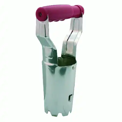 Weekendaanbieding pianta bulbi bulbo giardino girdinaggio semina bulbi piante fiori