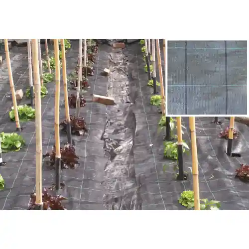 rotolo telo per pacciamatura ppl 1,05x100 mt nero per orto agricoltura Populair