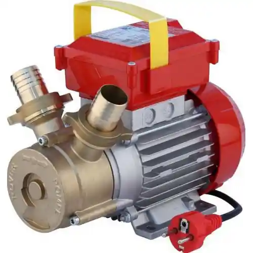 Rover 30 CE elettropompa bisenso pompa hp 1 230V per travaso liquidi alimentari vino olio Betrouwbaar