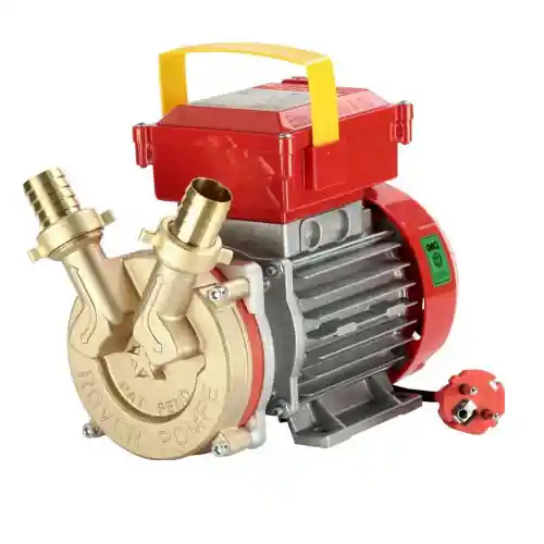 Rover elettropompa bisenso pompa hp 0,8 be-m 25 230V per travaso liquidi alimentari vino olio Laatste Kans