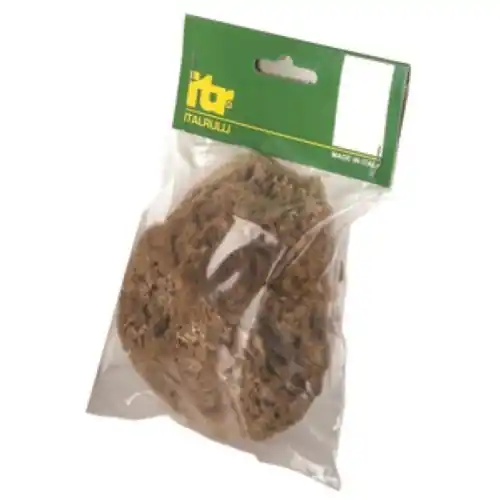 Alleen Vandaag spugna marina naturale 14 cm tampone per lavori di pittura decoro pitture