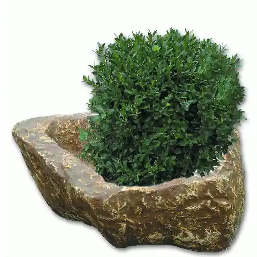 Weekendaanbieding vaso sasso fioriera in pietra colore stone per arredo giardino 50x50xh20 cm