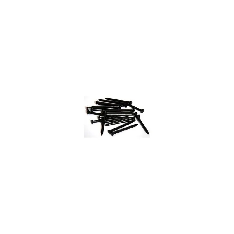 Gratis Retour CHIODO ACCIAIO TESTA BOMBATA 2X30