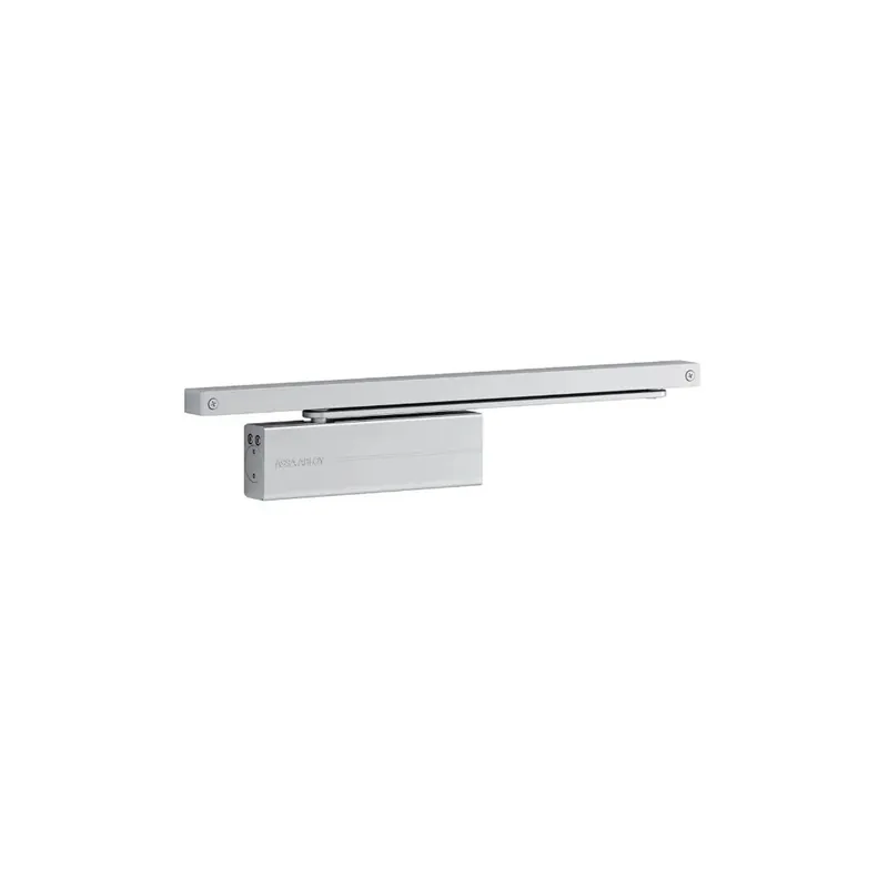 Lage Kosten CHIUDIPORTA ASSA ABLOY DC175 ARGENTO C-SLITTA E ACCESSORI