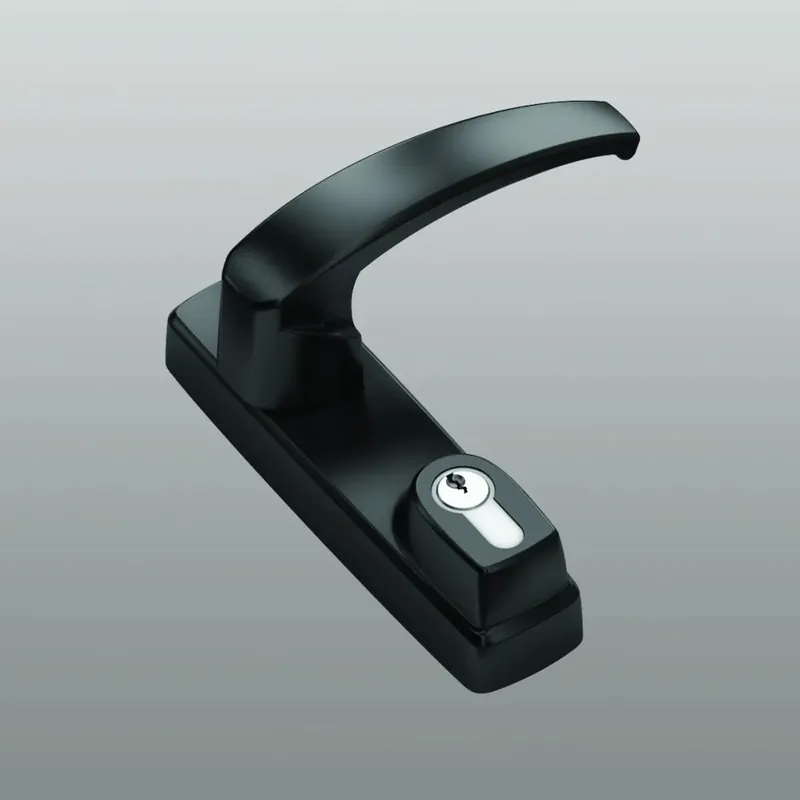 COMANDO ESTERNO MANIGLIA CILINDRO 6010.875 RAL9005 Express Levering