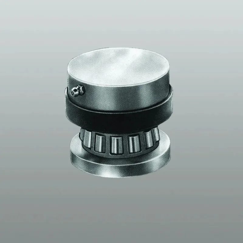 CERNIERA INFERIORE 395.702 (E) Seizoensaanbieding