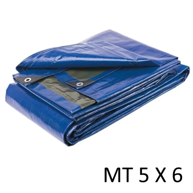 TELONE ANTISTRAPPO IMPERMEABILE OCCHIELLATO MT.5X6 Superprijs