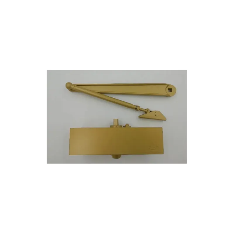 Weekendaanbieding CHIUDIPORTA MAB 502 ORO